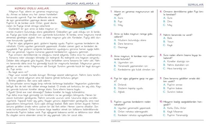 3 Sınıf Okuma Anlama Metni ve Testi 1 Soner Hoca