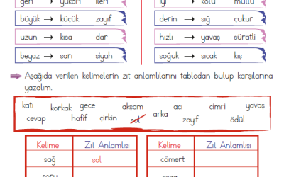 1 sinif turkce zit anlamli kelimeler listesi konu anlatimi etkinlik testi