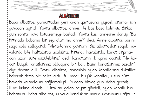 1. Sınıf Okuma Anlama Metni – 6 (Albatros)