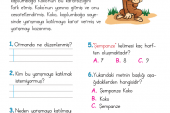 1. Sınıf Okuma Anlama Metni – 8 (Şempanze Koko)