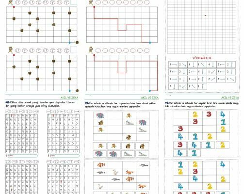 Akıl ve Zeka Etkinlikleri (5)