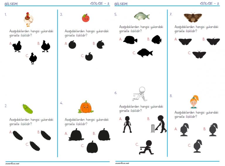 Bilsem Gölge Bulma – 1