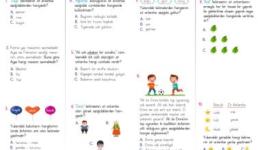 2. Sınıf Zıt Anlamlı Kelimeler Test PDF