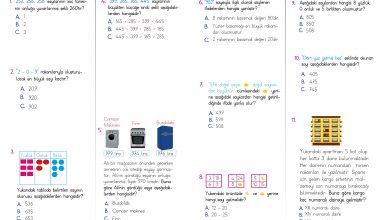 3. Sınıf Doğal Sayılar Testi (PDF) 3. Sınıf Doğal Sayılar Testi (PDF)