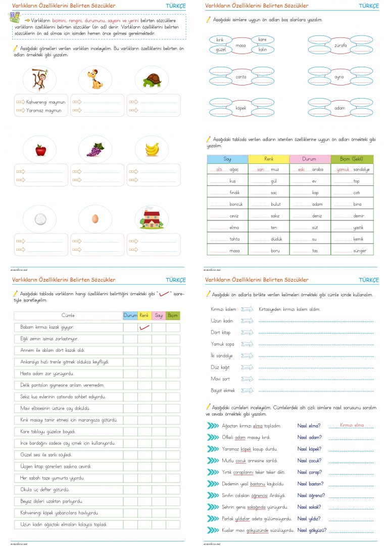 3. Sınıf Varlıkların Özelliklerini Belirten Kelimeler