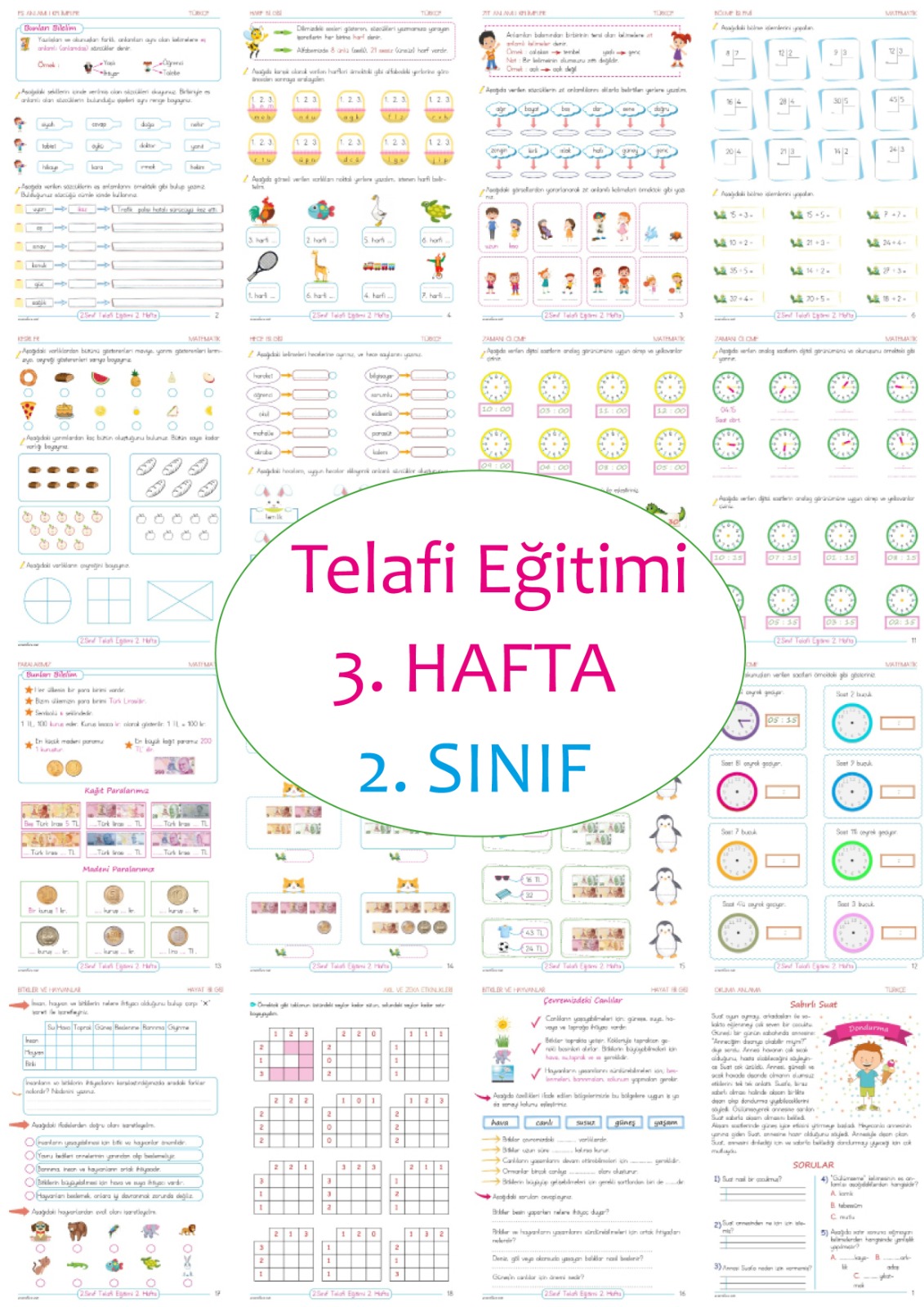 2 Sinif Telafi Egitimi Etkinlikleri Pdf Ve Telafi Egitim Calisma Sayfalari