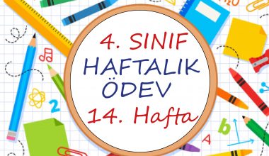 4. Sınıf Haftalık Ödev (1. Dönem 14. Hafta) 4. Sınıf Haftalık Ödev (1. Dönem 14. Hafta)