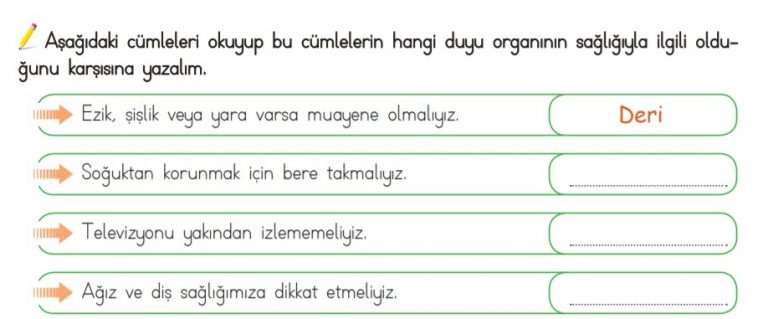 3. Sınıf Fen Bilimleri Beş Duyumuz Etkinlik ve Çalışma Kağıtları PDF