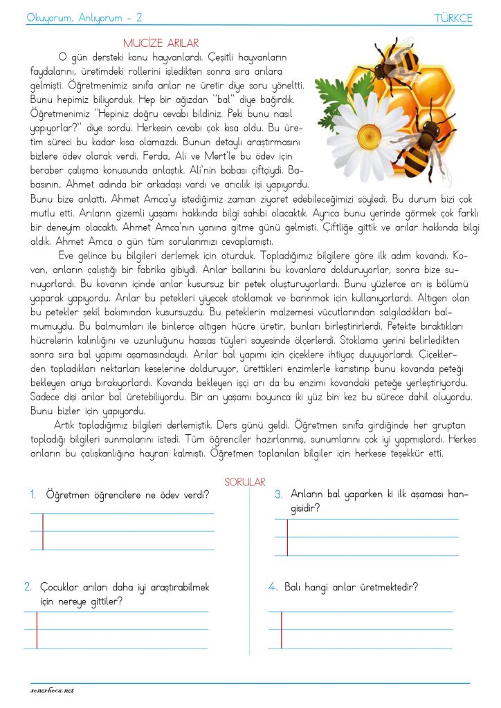 4. sınıf okuma anlama etkinliği Mucize Arılar