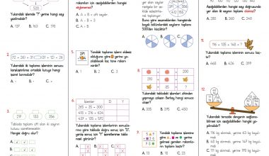 3. Sınıf Toplama İşlemi Testi – 3 3. Sınıf Toplama İşlemi Testi – 3