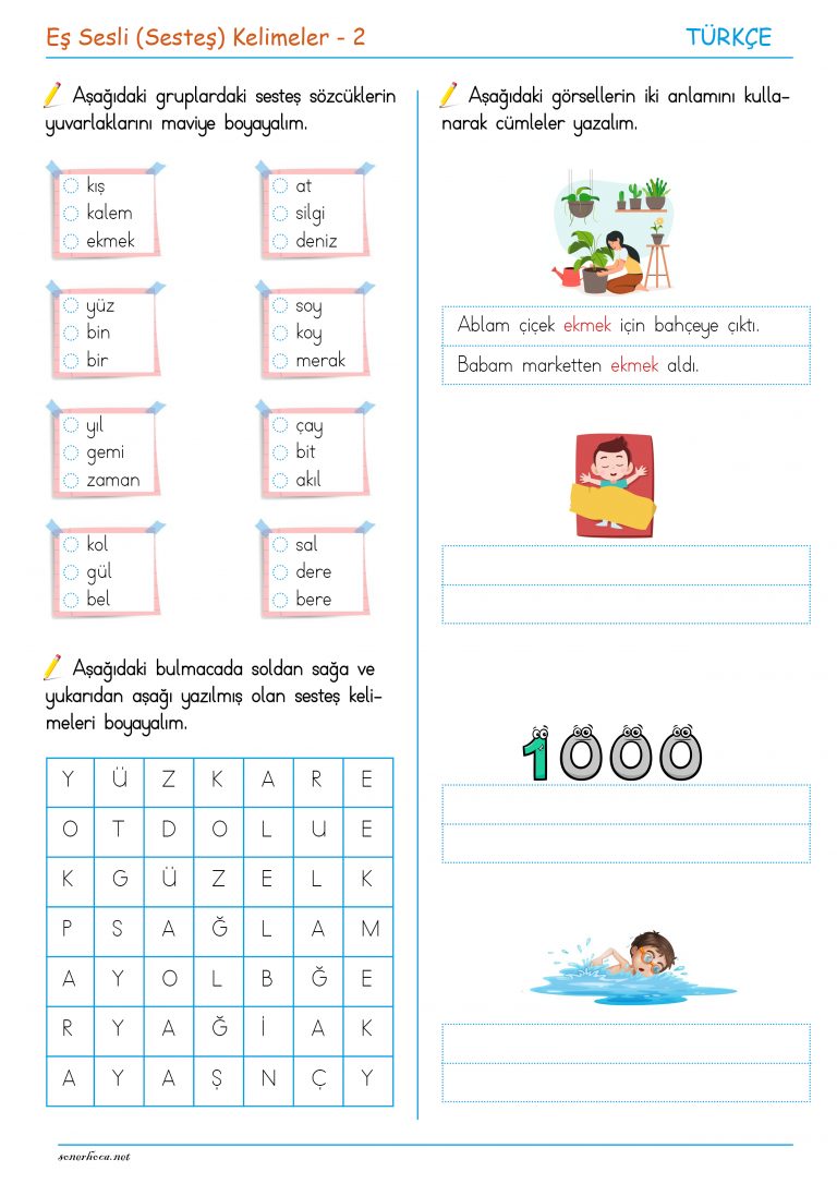 3. Sınıf Eş Sesli (Sesteş) Kelimeler – 2