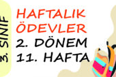 3. Sınıf Haftalık Ödev (2. Dönem 11. Hafta)
