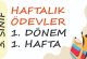 3. Sınıf Haftalık Ödev 1. Dönem 1. Hafta