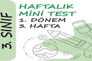 3. Sınıf Haftalık Mini Test (1. Dönem 3. Hafta)