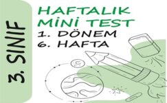 3. Sınıf Haftalık Mini Test (1. Dönem 6. Hafta)