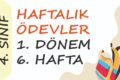 4. Sınıf Haftalık Ödev 1. Dönem 6. Hafta
