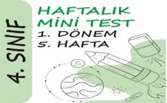 4. Sınıf Haftalık Mini Test (1. Dönem 5. Hafta)
