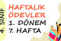 4. Sınıf Haftalık Ödev 1. Dönem 7. Hafta