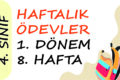 4. Sınıf Haftalık Ödev 1. Dönem 8. Hafta