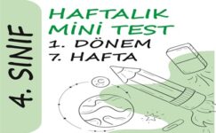 4. Sınıf Haftalık Mini Test (1. Dönem 7. Hafta)