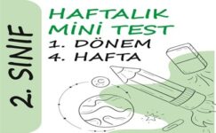 2. Sınıf Haftalık Mini Test (1. Dönem 4. Hafta)