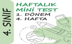 4. Sınıf Haftalık Mini Test (1. Dönem 4. Hafta)
