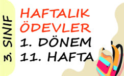 3. Sınıf Haftalık Ödev (1. Dönem 11. Hafta)