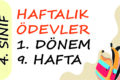 4. Sınıf Haftalık Ödev 1. Dönem 9. Hafta