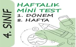 4. Sınıf Haftalık Mini Test (1. Dönem 8. Hafta)