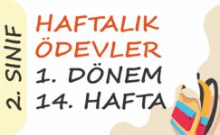 2. Sınıf Haftalık Ödev (1. Dönem 14. Hafta) 2. Sınıf Haftalık Ödev (1. Dönem 14. Hafta)