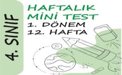 4. Sınıf Haftalık Mini Test (1. Dönem 12. Hafta)