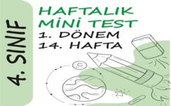 4. Sınıf Haftalık Mini Test (1. Dönem 14. Hafta) 4. Sınıf Haftalık Mini Test (1. Dönem 14. Hafta)
