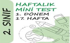 2. Sınıf Haftalık Mini Test (1. Dönem 17. Hafta)