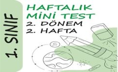 1. Sınıf Haftalık Mini Test (2. Dönem 2. Hafta)