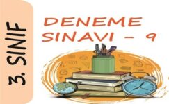 3. Sınıf Deneme Sınavı – 9