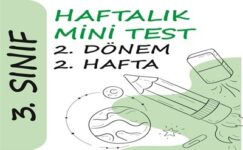 3. Sınıf Haftalık Mini Test (2. Dönem 2. Hafta)