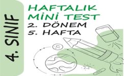 4. Sınıf Haftalık Mini Test (2. Dönem 5. Hafta)