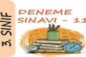 3. Sınıf Deneme Sınavı – 11