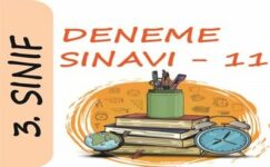 3. Sınıf Deneme Sınavı – 11