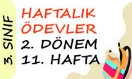 3. Sınıf Haftalık Ödev (2. Dönem 11. Hafta)
