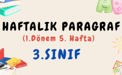 3. Sınıf Haftalık Paragraf (1. Dönem 5. Hafta) – PDF İndir