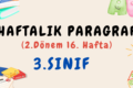 3. Sınıf Haftalık Paragraf (2. Dönem 16. Hafta) – PDF İndir