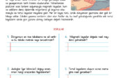 4. Sınıf Okuma Anlama Etkinliği – 36