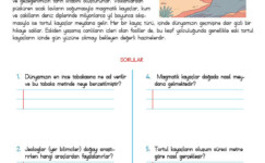 4. Sınıf Okuma Anlama Etkinliği – 36