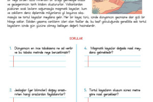 4. Sınıf Okuma Anlama Etkinliği – 36