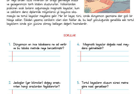 4. Sınıf Okuma Anlama Etkinliği – 36