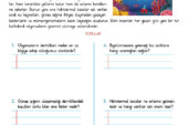 4. Sınıf Okuma Anlama Etkinliği – 35