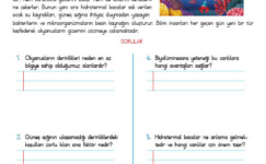 4. Sınıf Okuma Anlama Etkinliği – 35