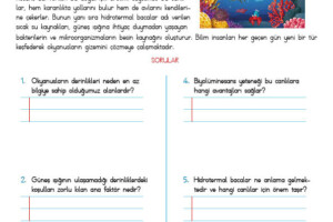4. Sınıf Okuma Anlama Etkinliği – 35