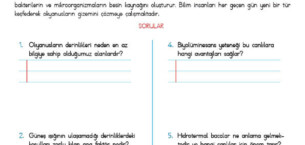 4. Sınıf Okuma Anlama Etkinliği – 35